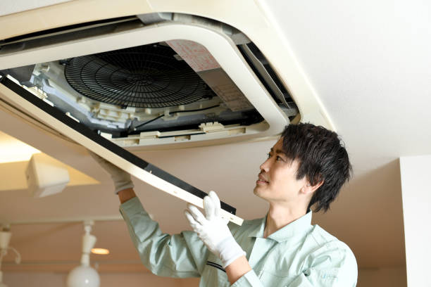 Best Air Duct Mold Removal  in Wickes, AR